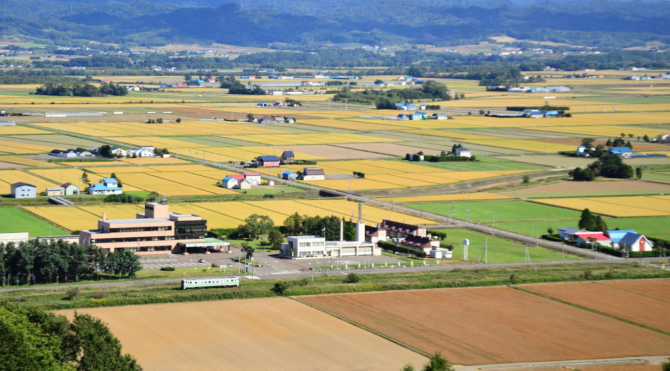 南空知の調剤薬局